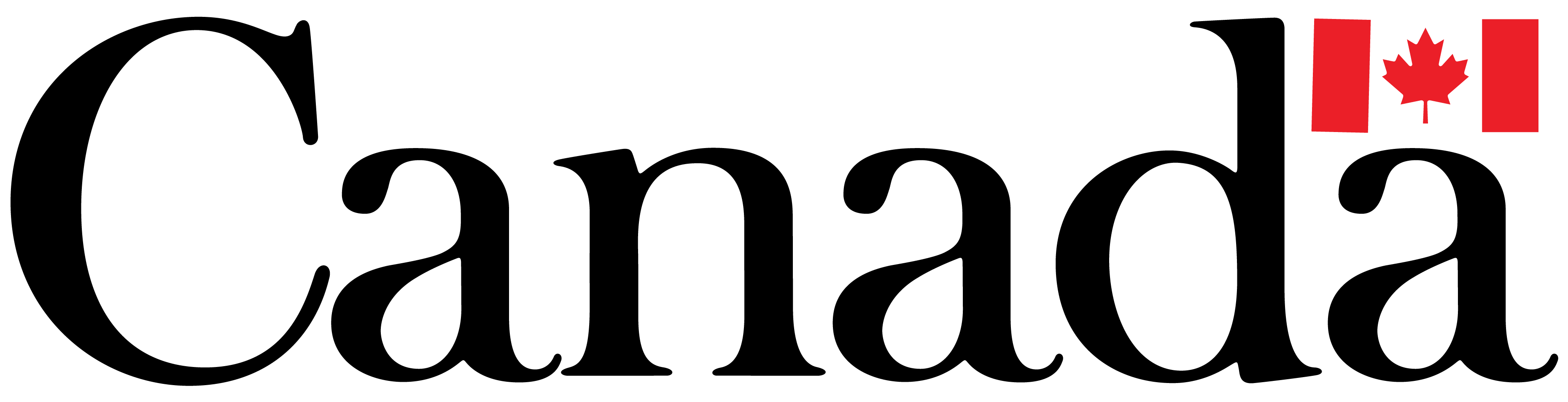 Federal Partner: Government of Canada (Wordmark logo)
